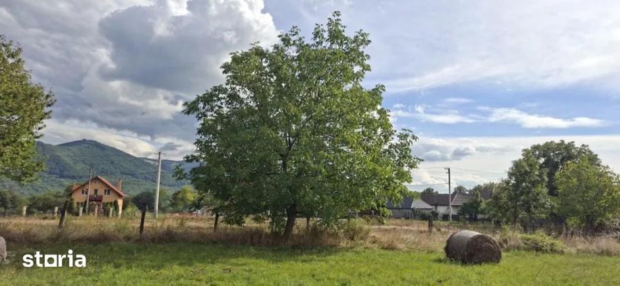 Teren de vanzare intravilan Bistra Muresului 4915 mp - 3
