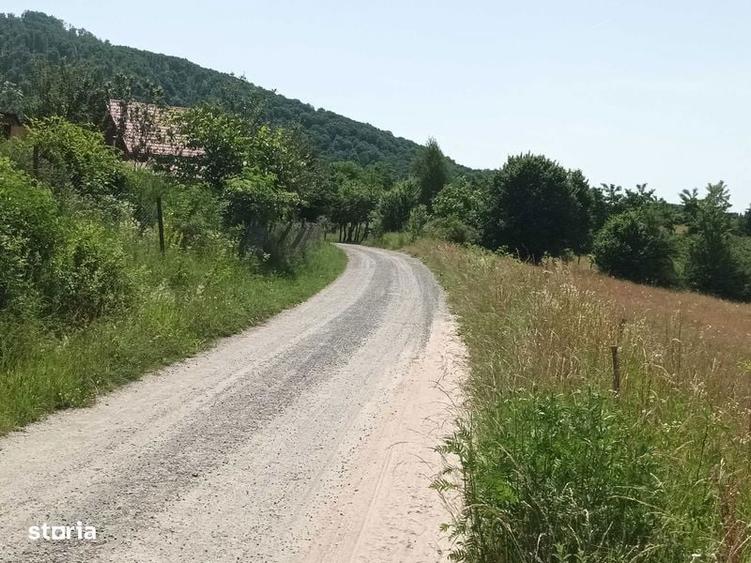 Teren de 2500 mp, în Central