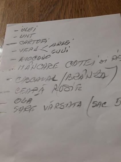 Casă cu 4 camere în Săliște