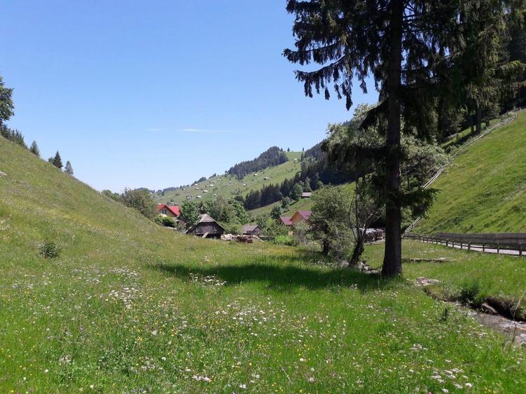 Teren de 4890 mp, în Moieciu