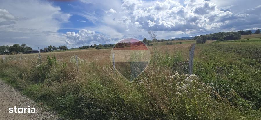 Teren intravilan de vanare in Horodnic de Sus - 8
