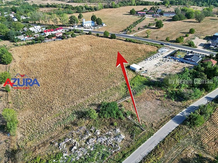 Teren Construcții intravilan de 7976 mp, în Crângurile