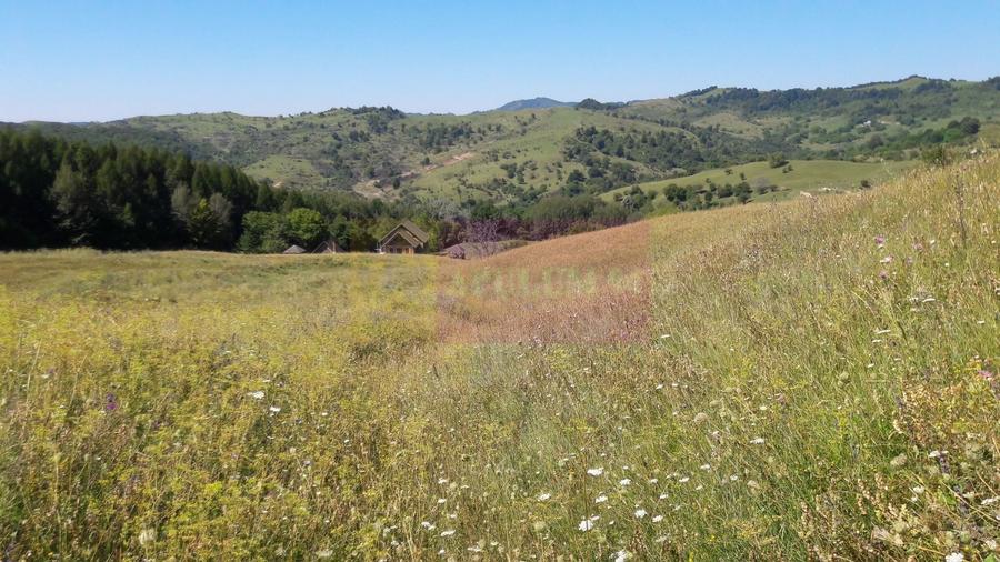 Teren agricol intravilan de 9037 mp, în Plaiul Tălii