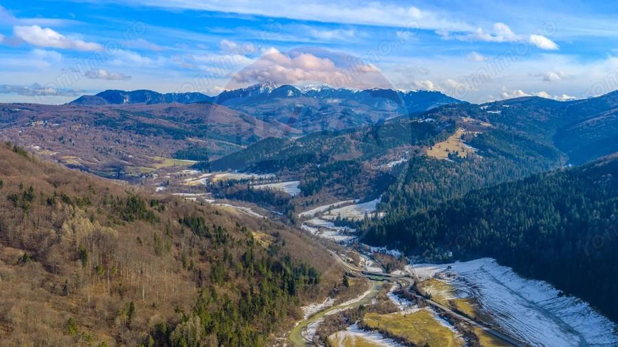 Teren de 10000 mp, în Brădet