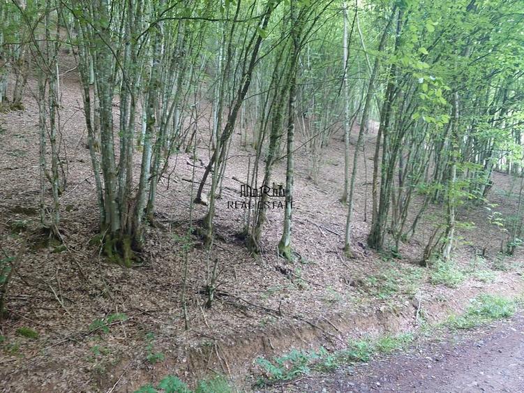 Teren de 3700 mp, în Bulzeștii de Sus