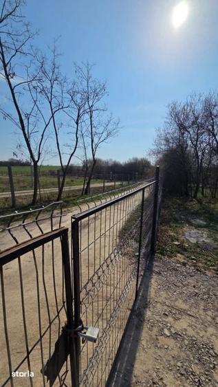 Casă cu 3 camere cu Teren 800 Mp în Viile Satu Mare