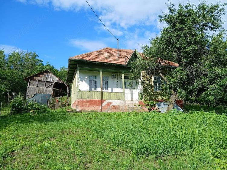 Casă cu Teren 1080 Mp în Blăjani