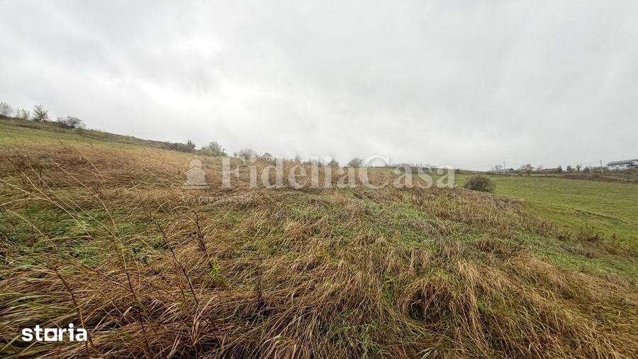 Teren de 3480 mp, în Popricani