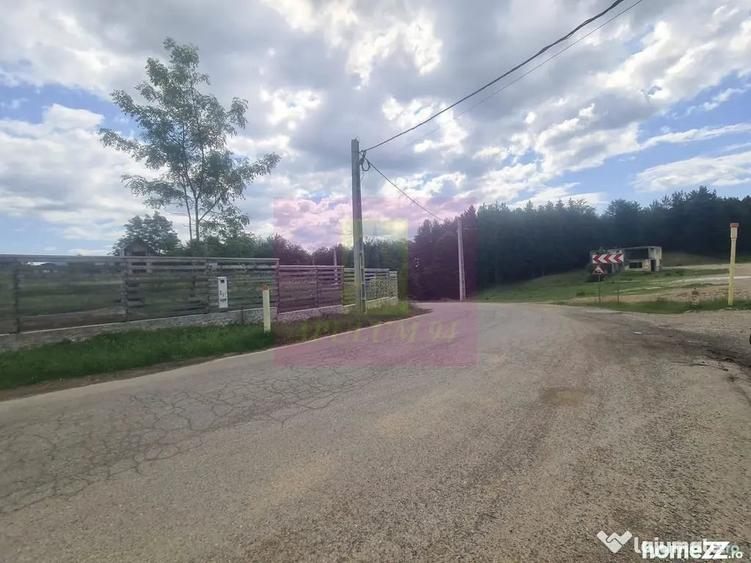 Teren de 9037 mp, în Plaiul Tălii
