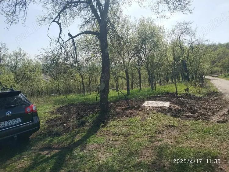 Teren de 2400 mp, în Crișeni