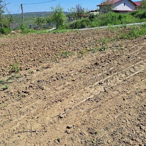 Teren de 500 mp, în Goruni