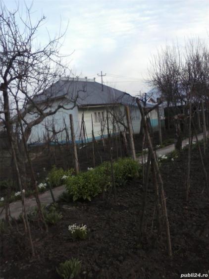 Casă în Central