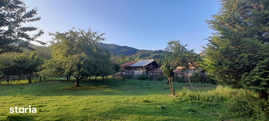 Teren de 20000 mp, în Valea