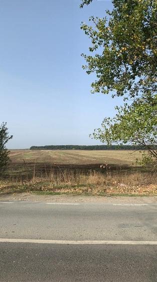 Teren Construcții intravilan de 3000 mp, în Afumați