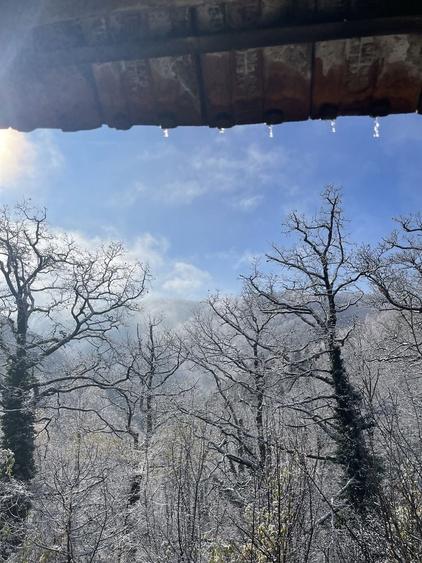 Teren de 95000 mp, în Costești (Albac)