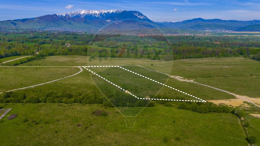 Teren agricol extravilan de 13800 mp, în Glăjărie