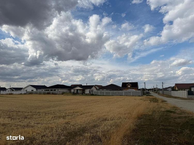 Teren intravilan 10.000 mp Santandrei | Toate utilitatile - 4