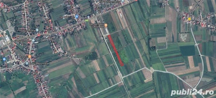 Teren de 5900 mp, în Cuzdrioara