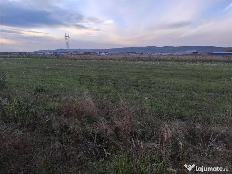 Teren în Oșorhei