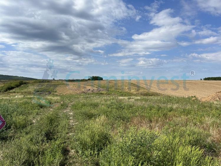 Teren Construcții intravilan de 500 mp, în Cheriu