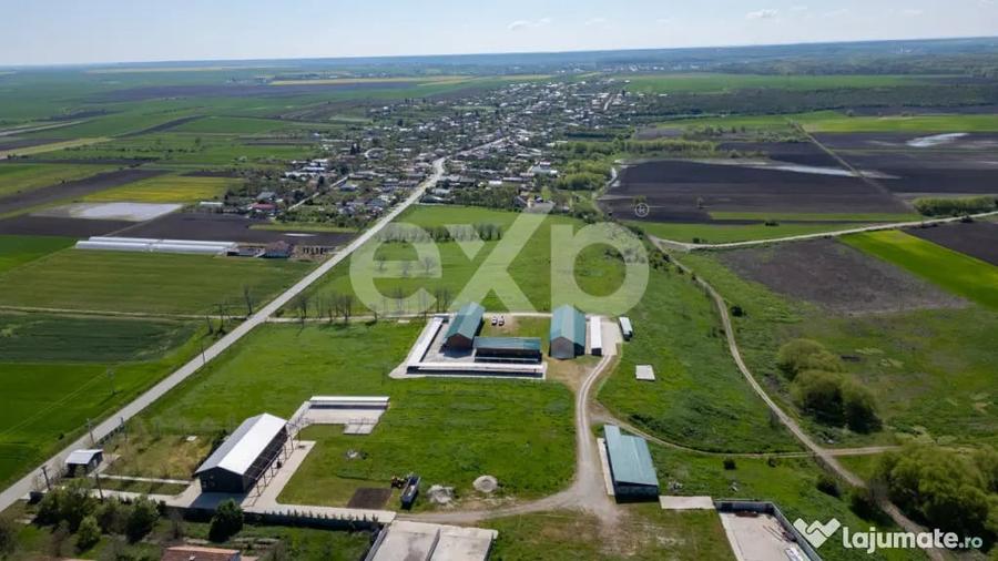Teren în Crânguri