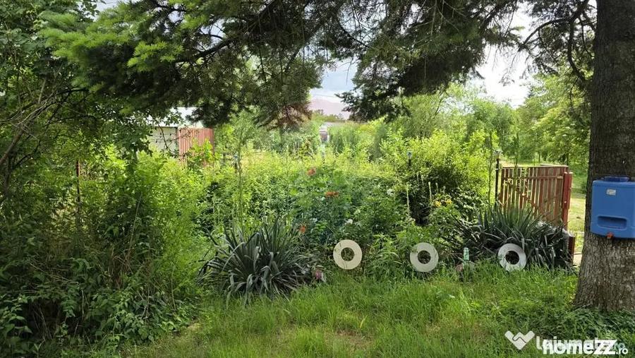 Casă cu 3 camere cu Teren 5063 Mp în Uzunu