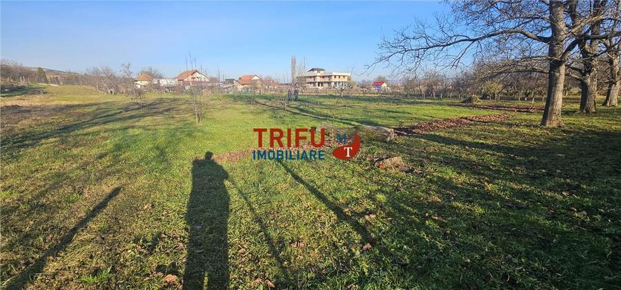 Teren Construcții intravilan de 2200 mp, în Ampoi 1