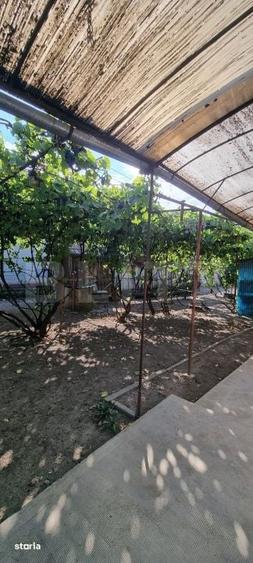 Casa cu 3 camere, anexe, curte si gradina - 7