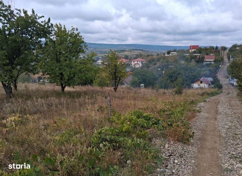 Spațiu comercial, în Tomești