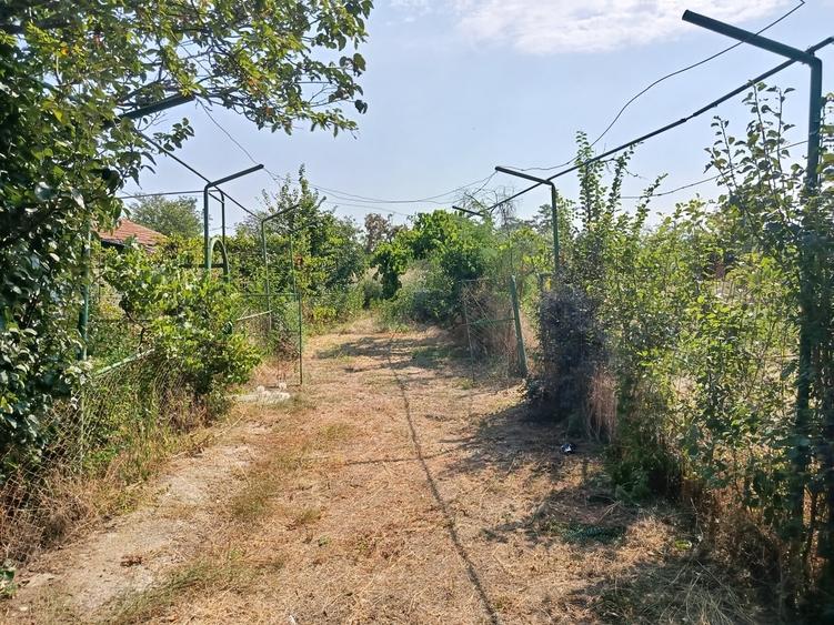 Teren în Central