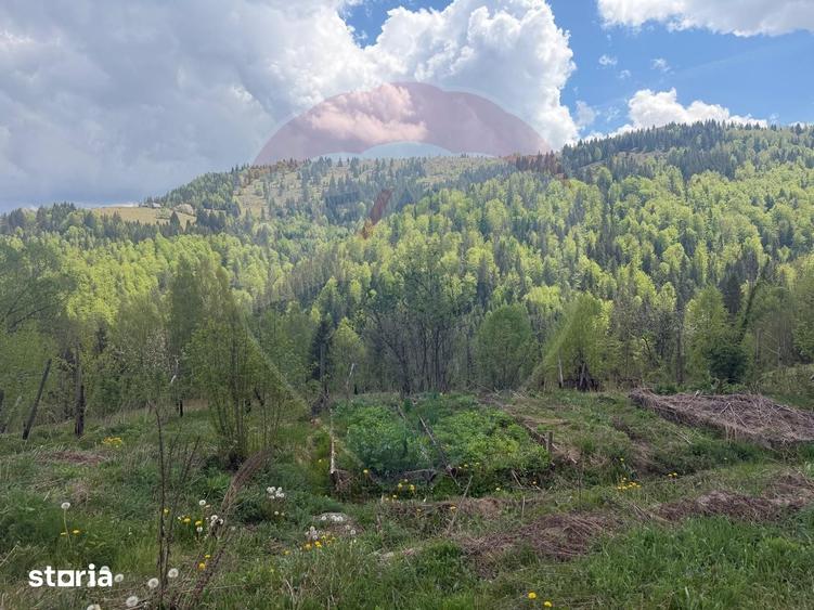 Casă cu Teren 62000 Mp în Horea