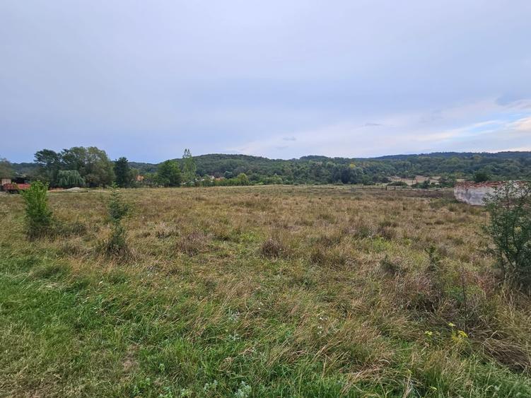 Teren Construcții intravilan de 47430 mp, în Petriș
