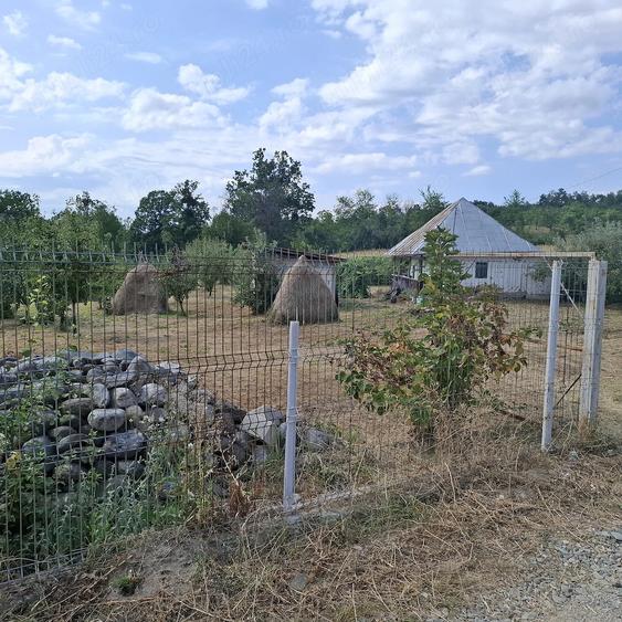 Teren de 7500 mp, în Cărpeniș