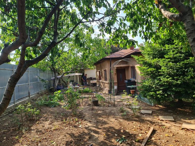 Casă cu 3 camere în Alexandriei