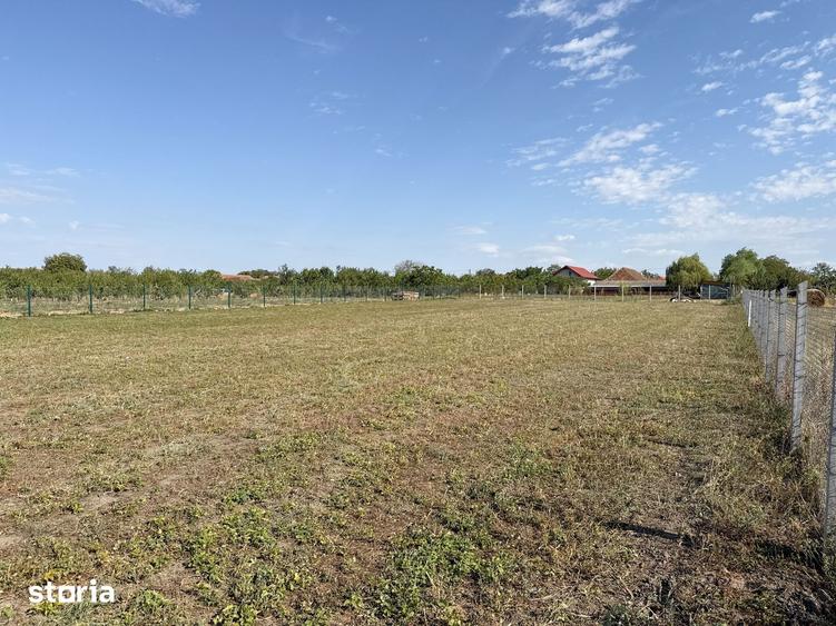 Casă cu 7 camere cu Teren 2800 Mp în Șagu