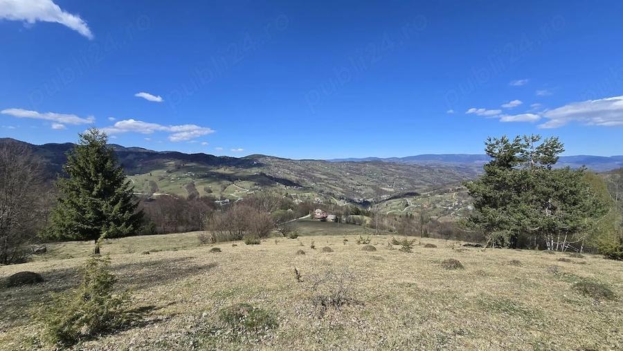 Teren de 23000 mp, în Sohodol