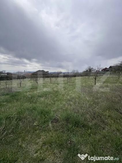 Casă cu 3 camere cu Teren 2900 Mp în Dej