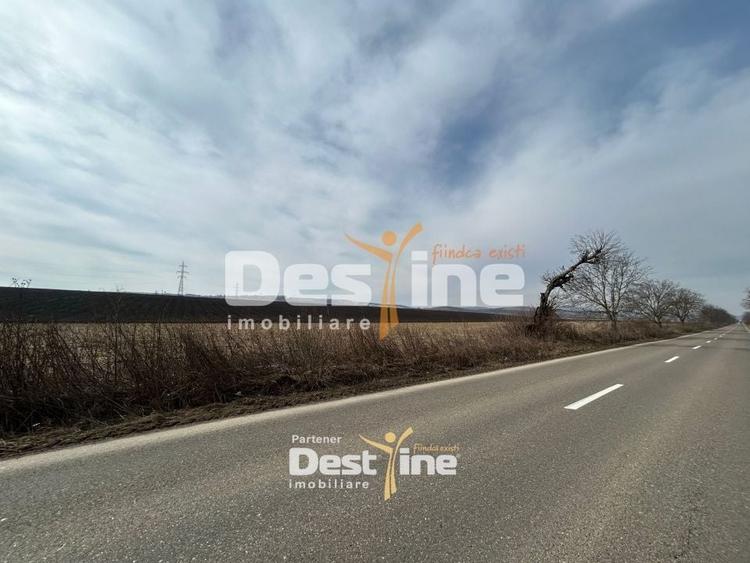 Teren Construcții intravilan de 1300 mp, în Căciulești