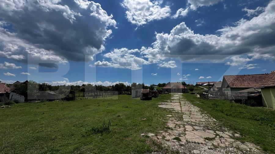 Teren Construcții intravilan de 47600 mp, în Roșia de Secaș