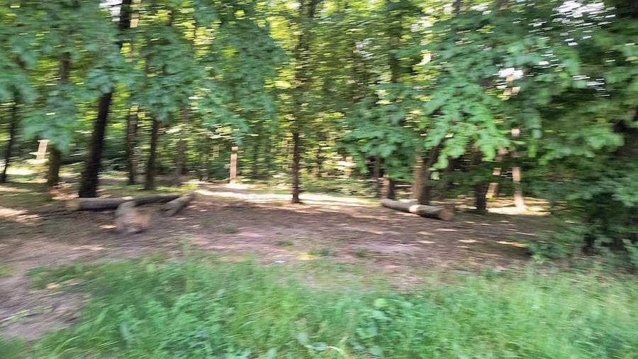 Teren de 2600 mp, în Măriței