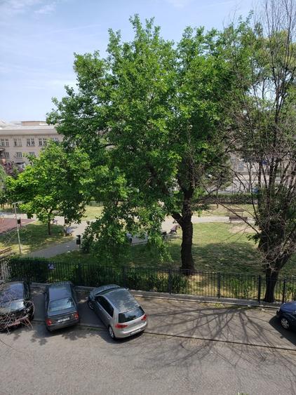 Gara de Nord/Bd.Dinicu Golescu vedere spre parc - 4