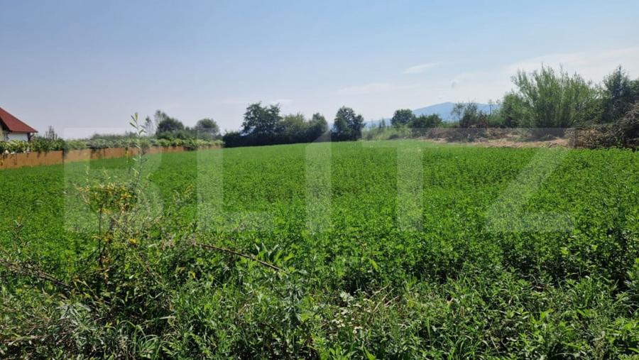 Teren intravilan de vanzare, 3800 mp, zona Vest - 1