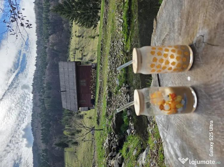 Teren de 8000 mp, în Lunca Vișagului