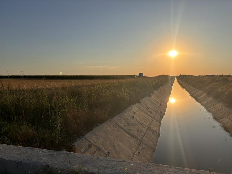 Teren agricol extravilan de 120000 mp, în Vlad Țepeș