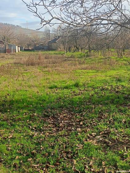 Teren de 1530 mp, în Slava Rusă