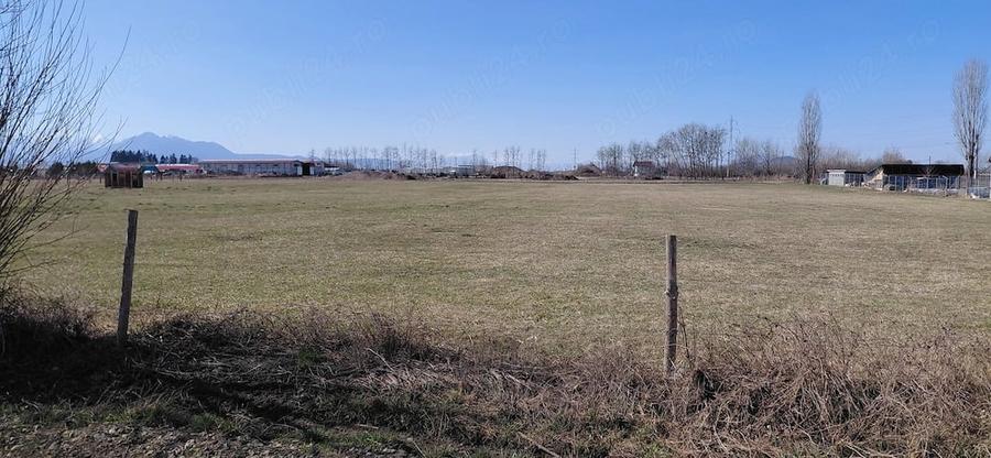Teren de 11000 mp, în Prejmer