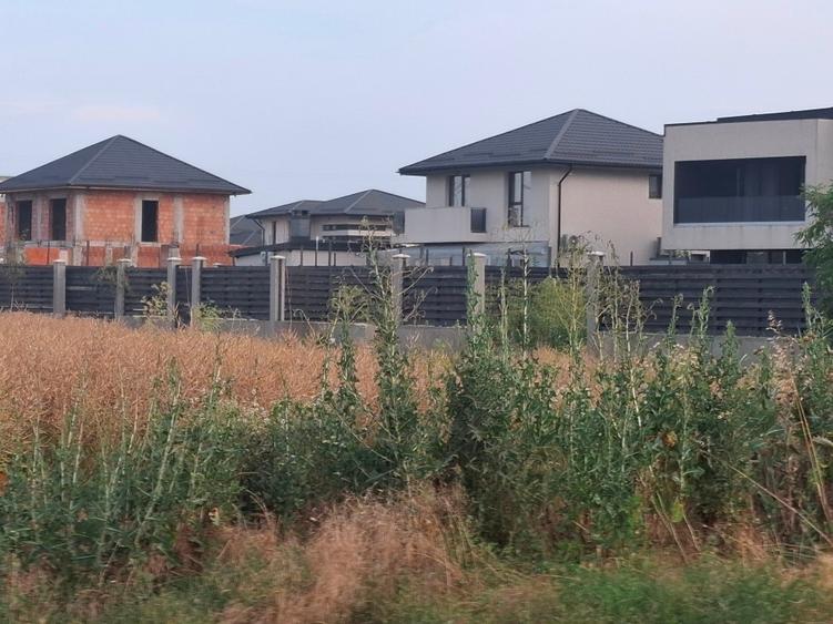 Teren Construcții intravilan de 496 mp, în Berceni