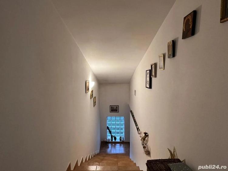 casa de acasa in Olteni Clinceni - 10