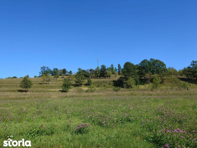 Teren de 8757 mp, în Luncoiu de Jos