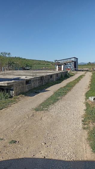 Teren de 1493 mp, în Petrani